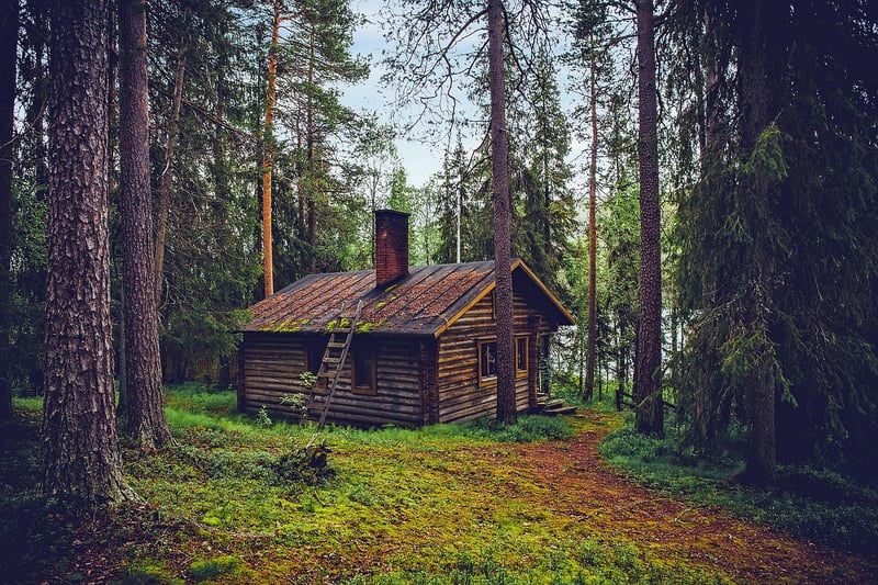 Forest Retreat