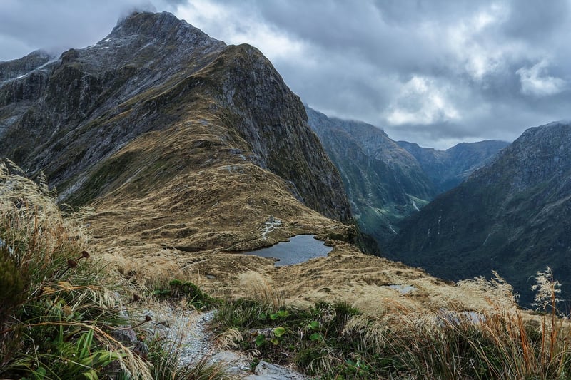 Adventure in Milford Sound, New Zealand